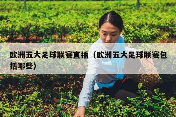 欧洲五大联赛直播全攻略（不花冤枉钱，轻松观看每一场比赛）-第1张图片-www.211178.com_果博福布斯