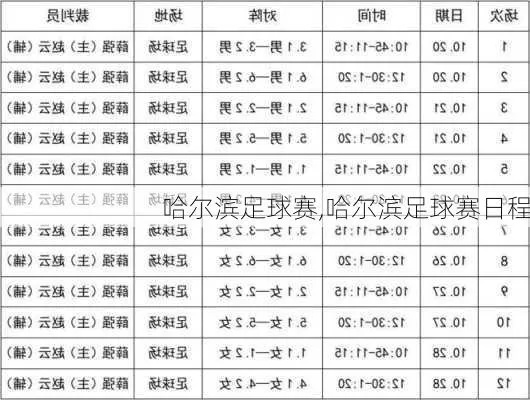 哈尔滨在哪能看欧洲杯 哈尔滨足球比赛