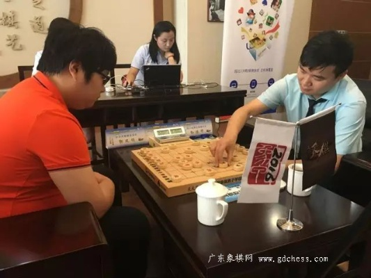 2016最新象棋比赛视频介绍男选手为何普遍不愿娶女选手？-第2张图片-www.211178.com_果博福布斯