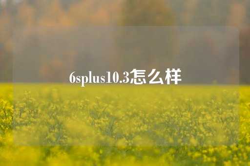 6splus10.3怎么样