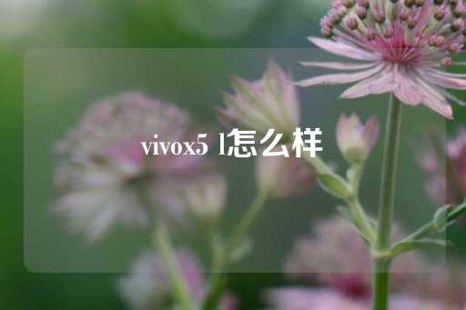 vivox5 l怎么样